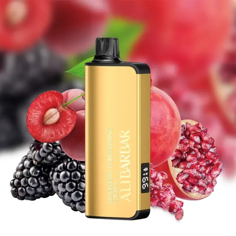 ALIBARBAR INGOT BLACKBERRY CHERRY POMEGRANATE – 9000 PUFFS