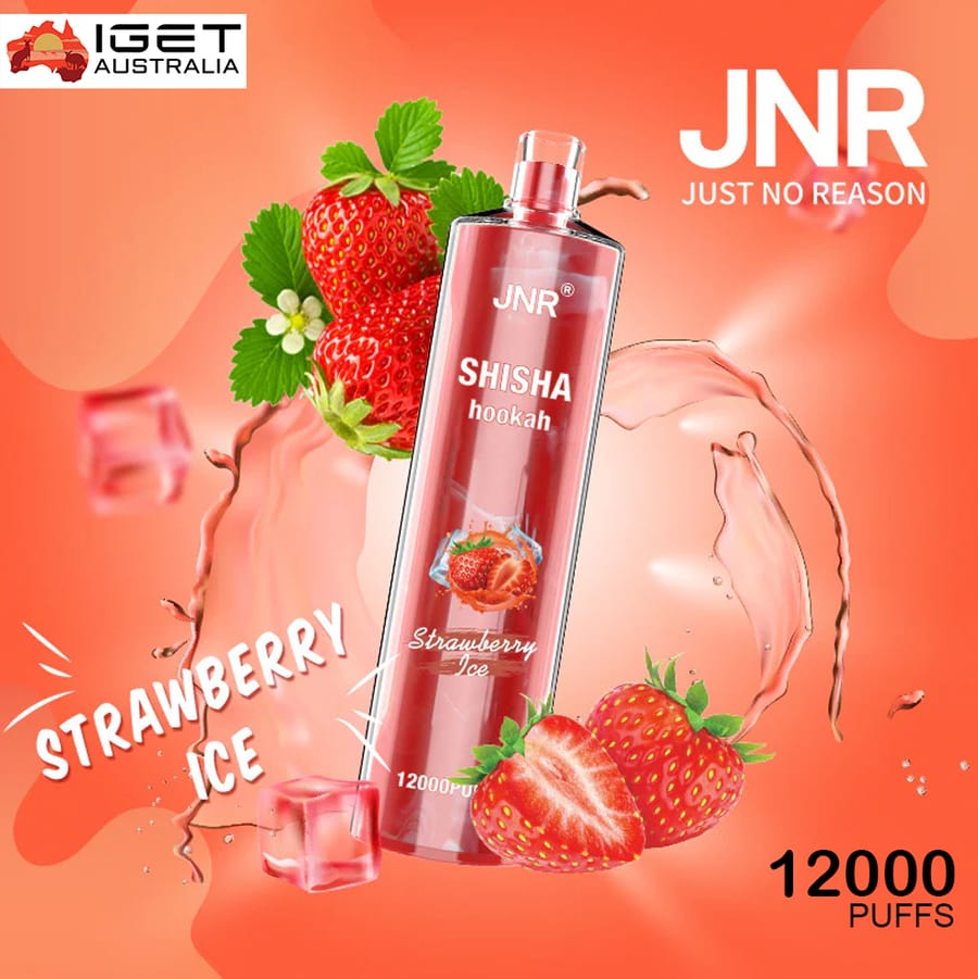 JNR SHISHA HOOKAH WATERMELON ICE – 12000 PUFFS